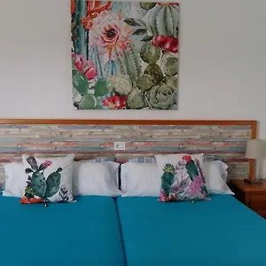 https://estudio-la-calzada.in-canary-islands.com